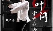 叶问2在线观看,再战江湖——传承武术精神，捍卫民族尊严